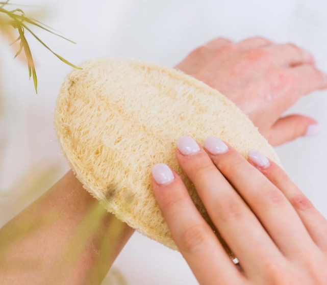 Large Exfoliating Loofah