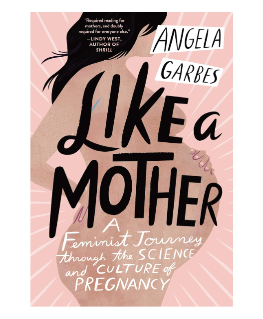 Like a Mother Book by Angela Garbes