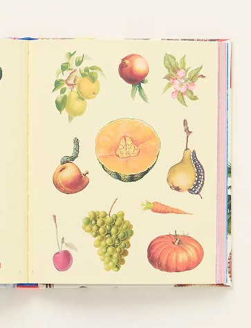 Extraordinary Things Sticker Book