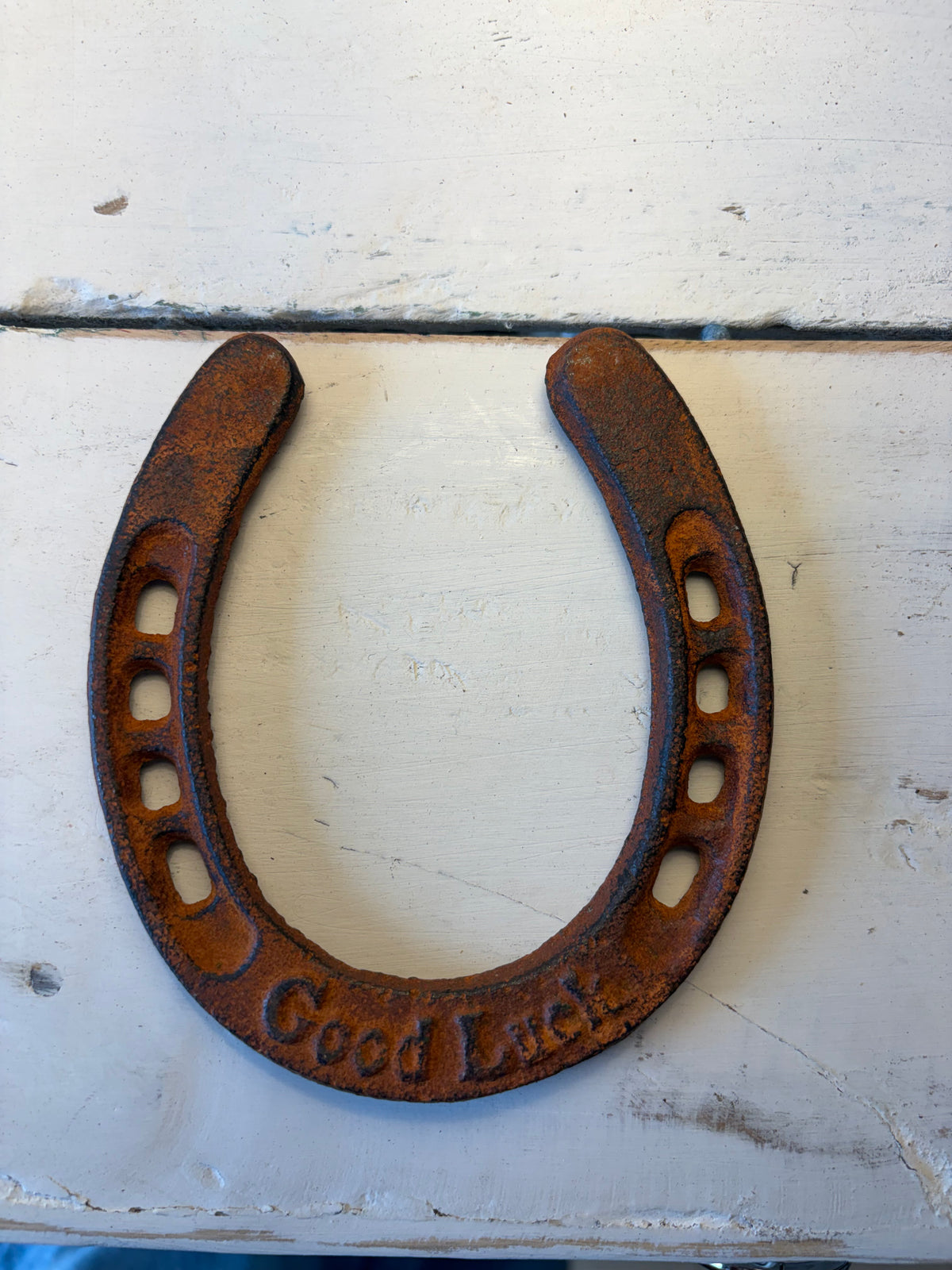 Metal Good Luck Horseshoe