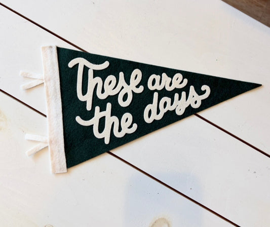 Pennant Flag, These Are The Days