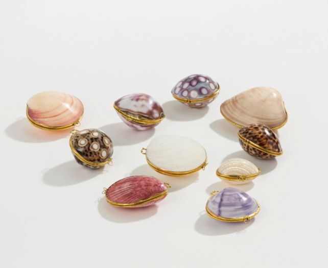 Shell Trinket Boxes