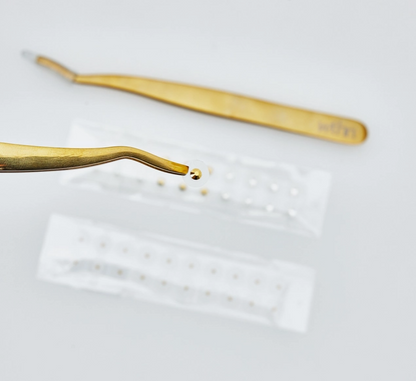 WTHN Gold Ear Seed Kit