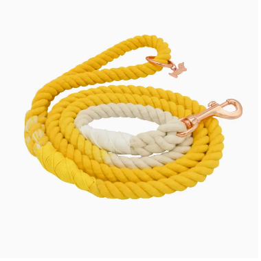 Dog Rope Leash (various color options)