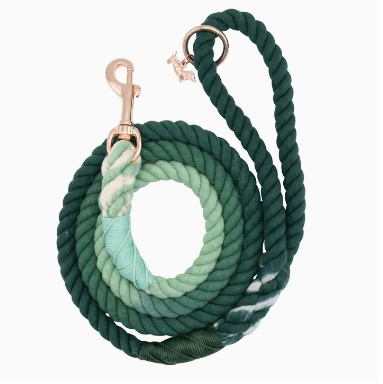 Dog Rope Leash (various color options)