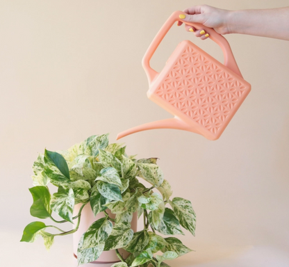 Plastic Peach Watering Can