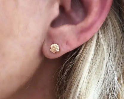 Shell Stud Earrings gold fill