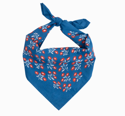 Bandana- Blue with Red Flowers