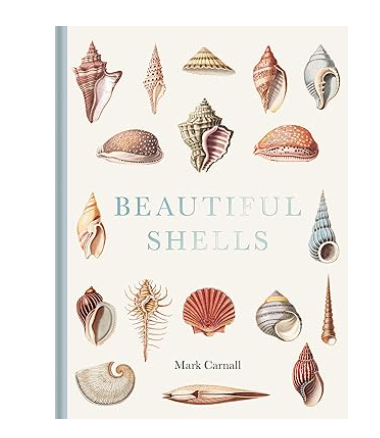 Beautiful Shells Book