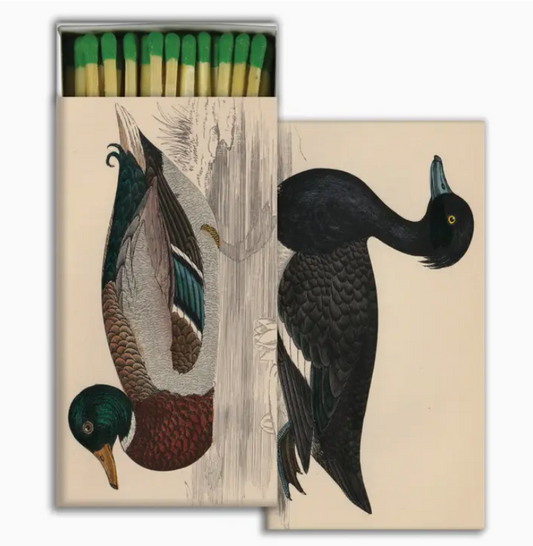 Box of Matches- Ducks