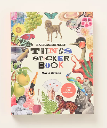 Extraordinary Things Sticker Book