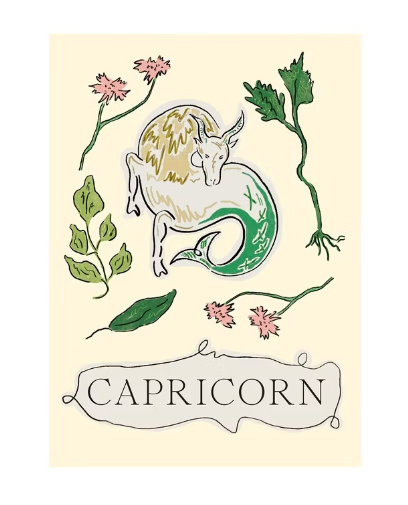 Zodiac Books, by Liberty Phi