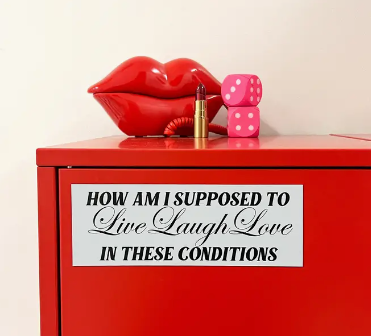 How Am I Supposed To Live Laugh Love In These Conditions, Magnet