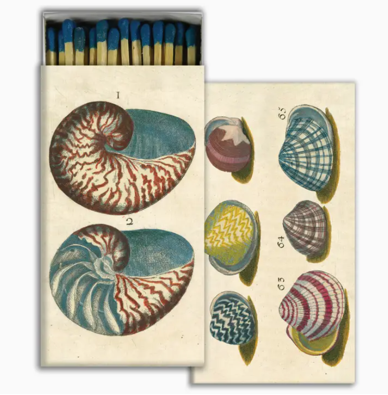 Box of Matches, Shells with Color