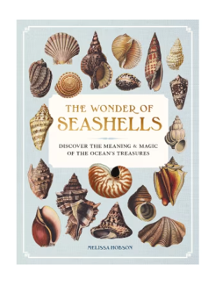 The Wonder of Seashells Book