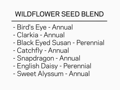 Wildflower Confetti Seed Packet