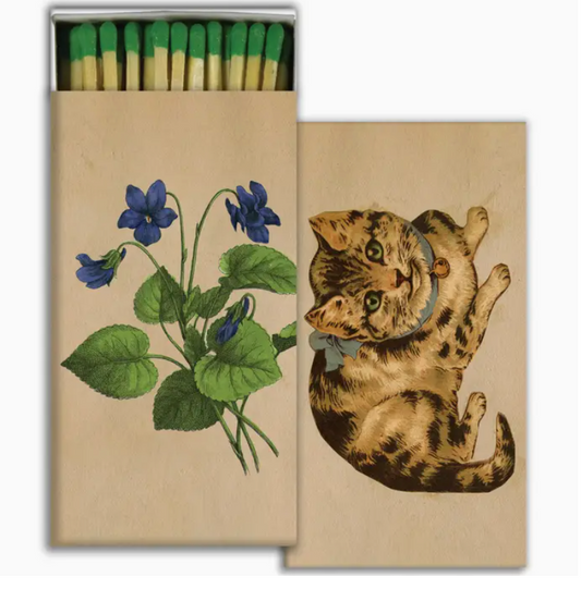 Box of Matches, Kitten