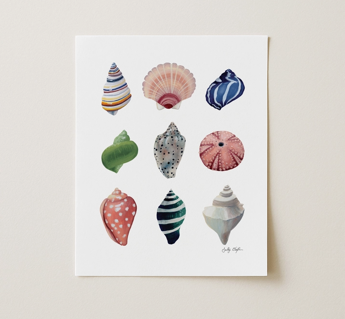 Coastal Seashell Study Art Print
