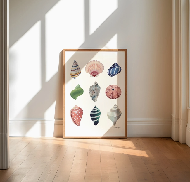 Coastal Seashell Study Art Print
