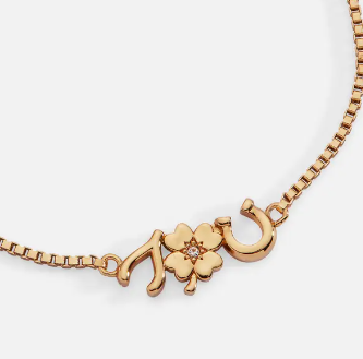 Good Luck Bolo Bracelet