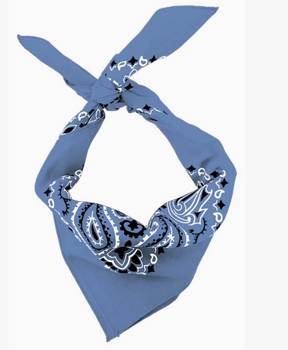 Traditional Paisley Cotton Bandana