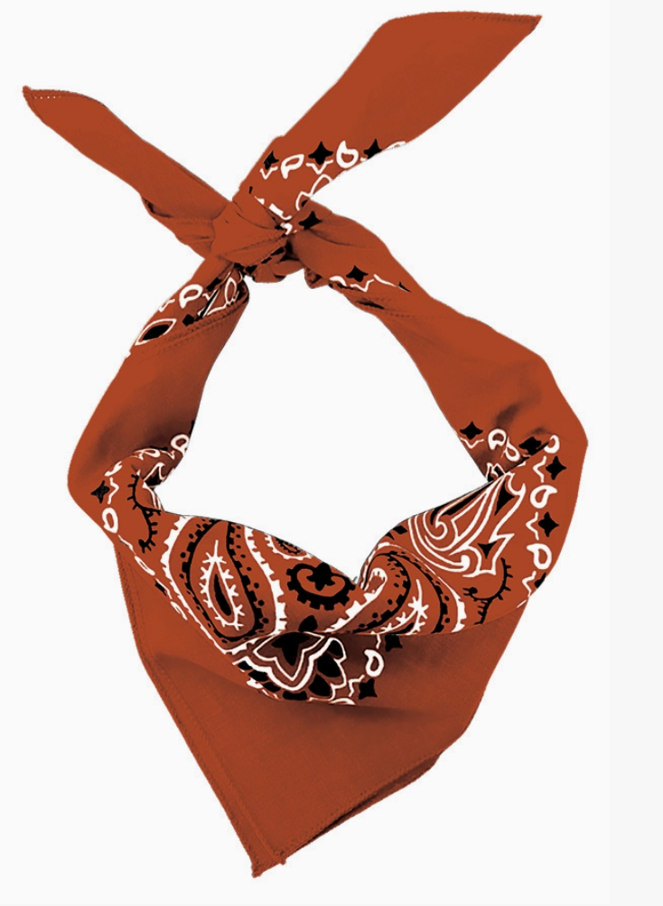 Traditional Paisley Cotton Bandana