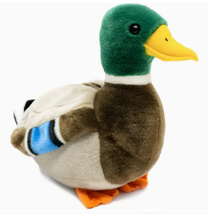 Mallard Duck Stuffie